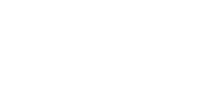 The Finishing Touch Reno Logo